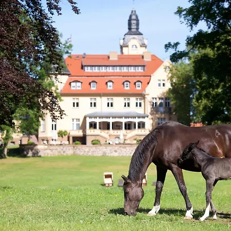 Dom wakacyjny Haus 8 Wendorf (Kuhlen-Wendorf)